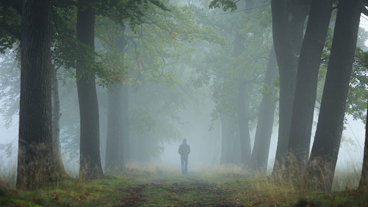 1*ikqerD72SYzS4EHf85GdSA