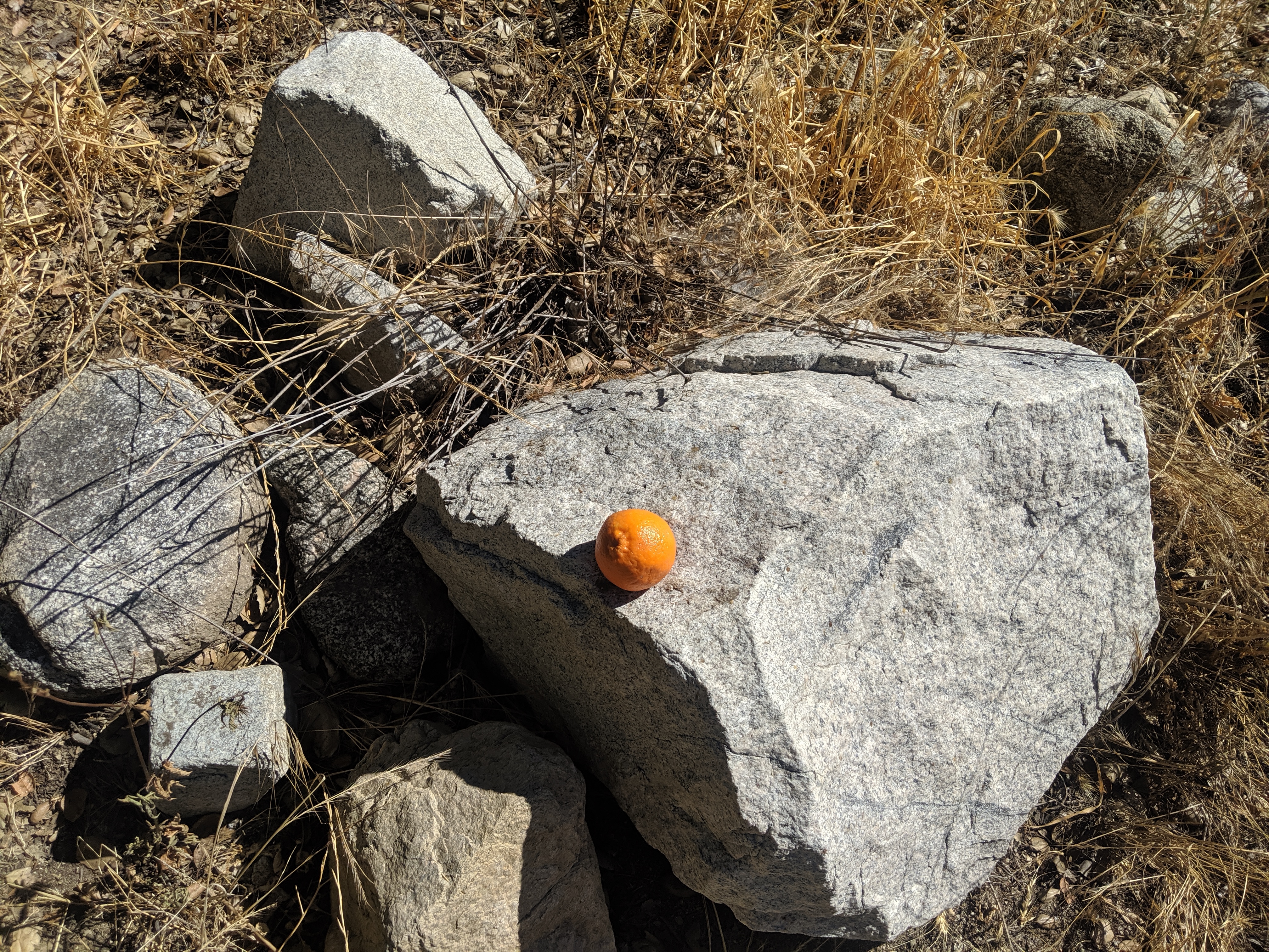 MVIMG_20190727_100431